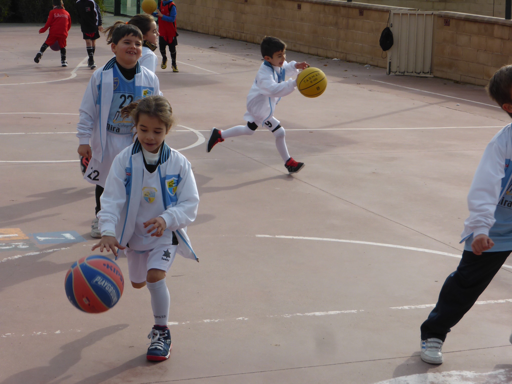 basket-noticia-4