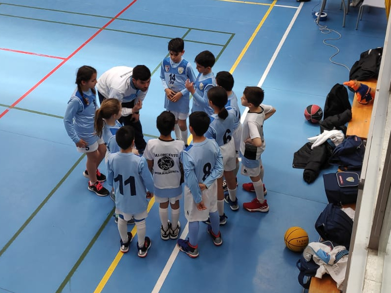 basket-2