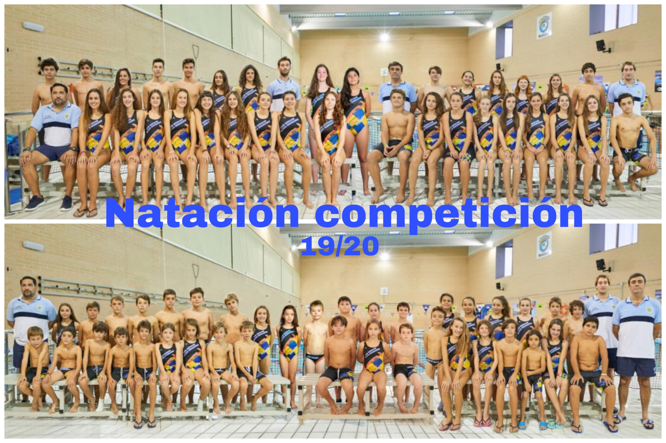 acuaticas (2)
