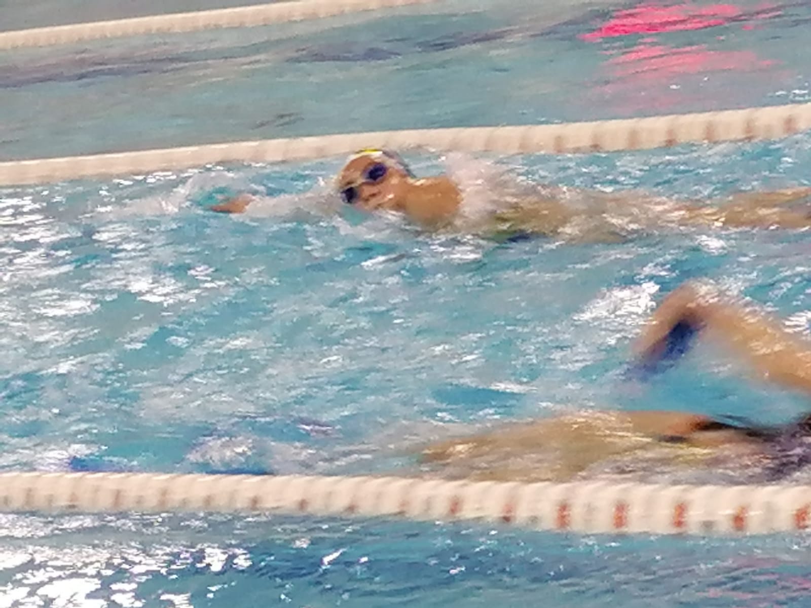 natacion-comienzo (2)