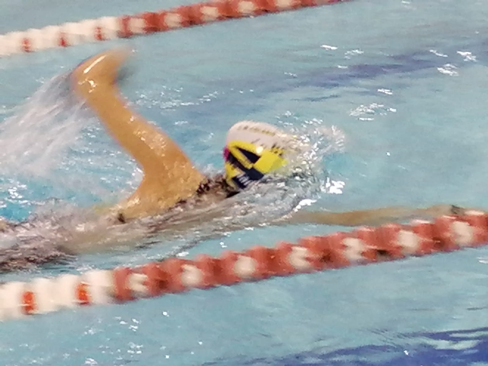 natacion-comienzo (3)