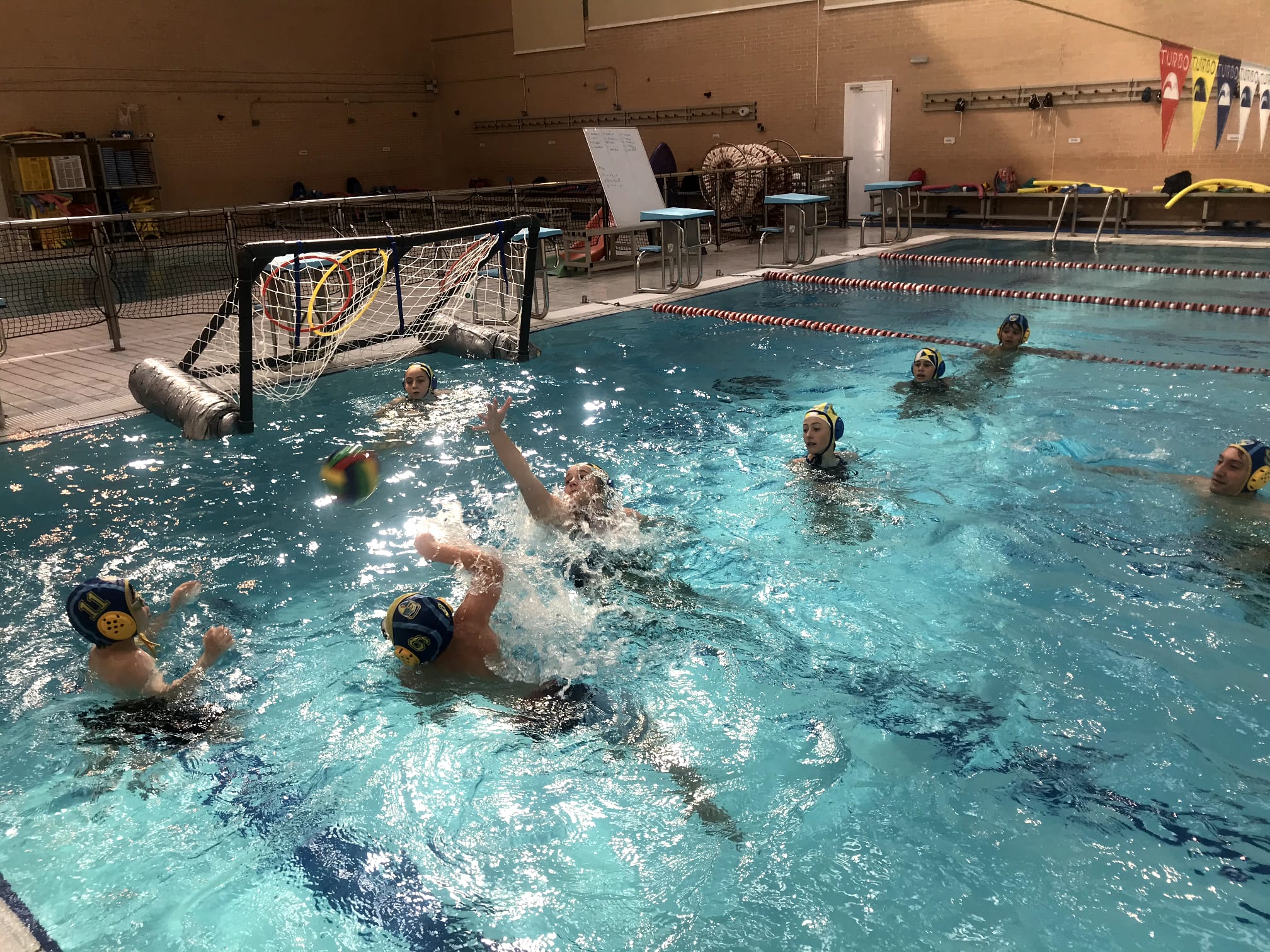 natacion-comienzo (5)