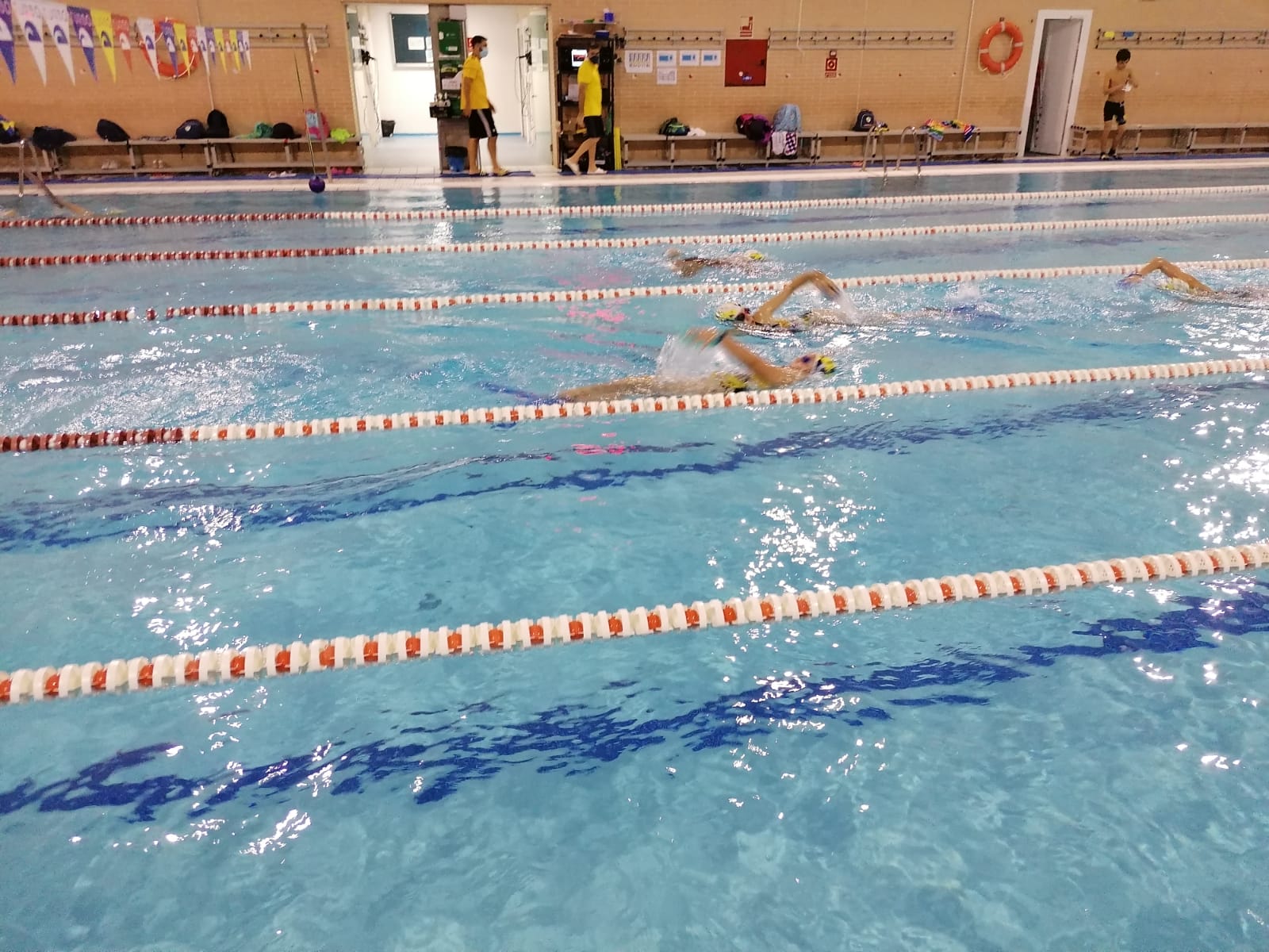 natacion-comienzo (6)