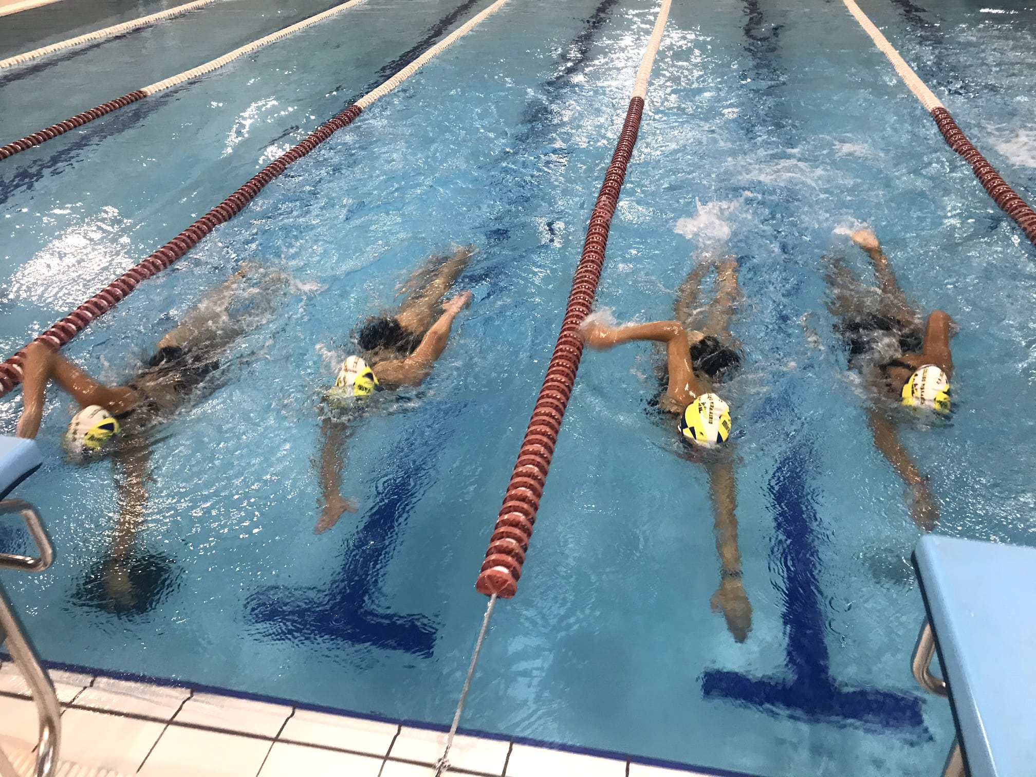 natacion-comienzo (9)