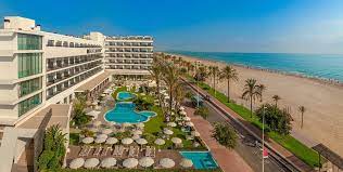 hotel gandia
