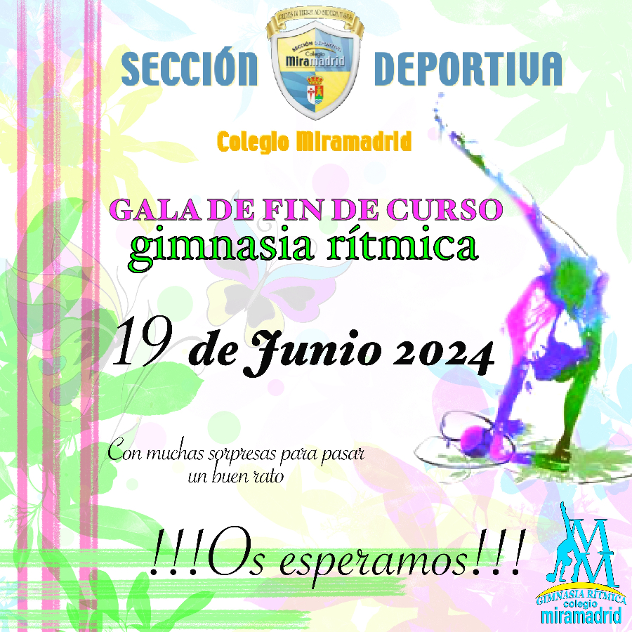 gala-ritmica-24